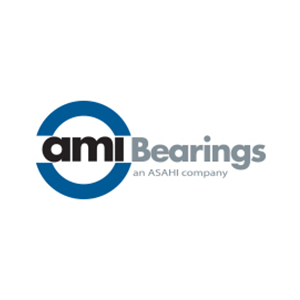 ami bearings (1)